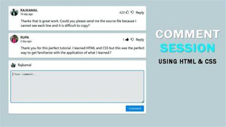 A comment from a user, 2023 | Source: