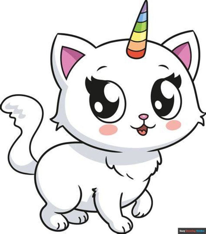 cat unicorn
