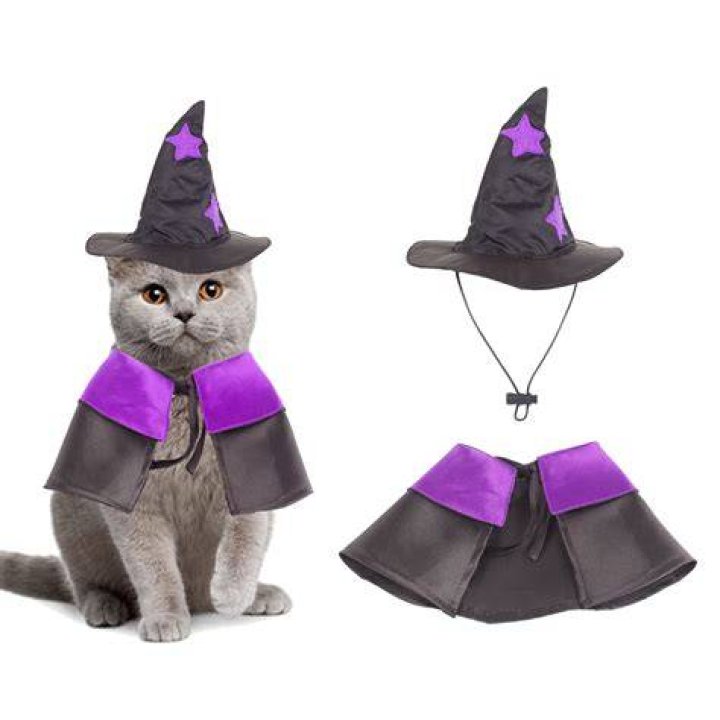 cat witch costume