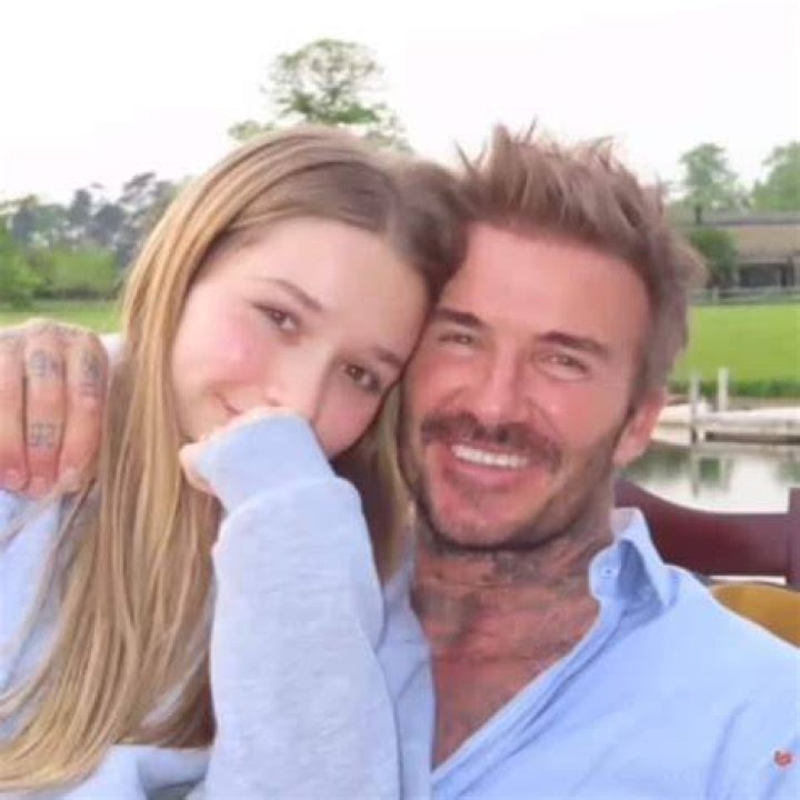 David and Harper Beckham taking in the sights in New York