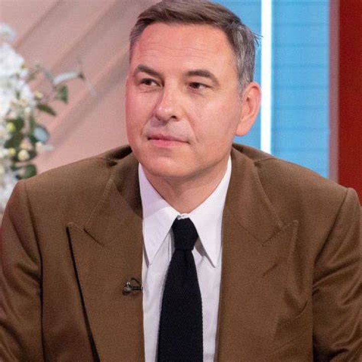 David Walliams in a brown suit