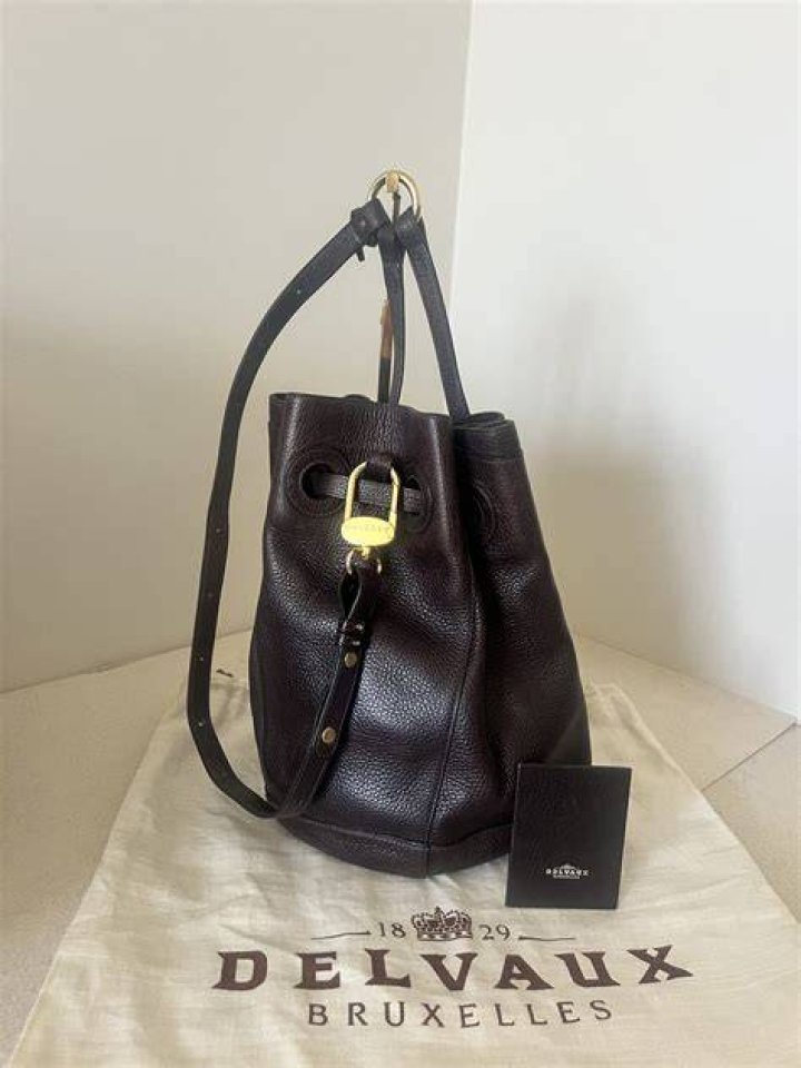 Delvaux tan bucket bag 