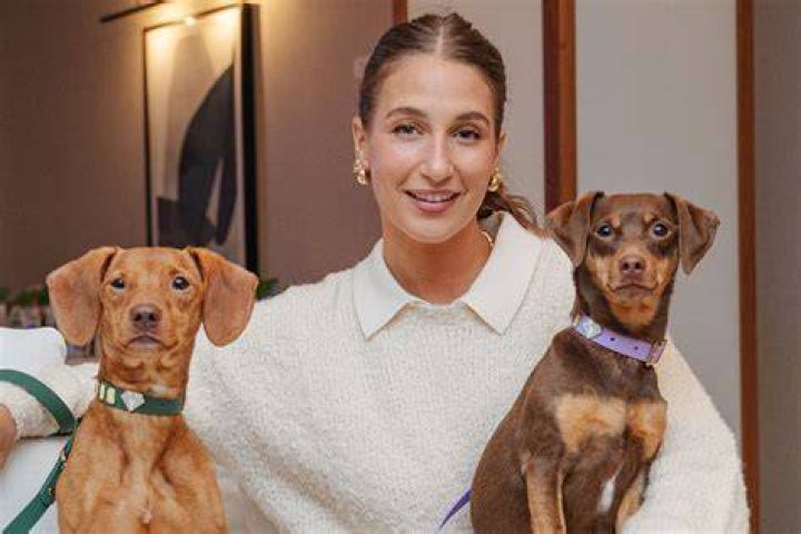 dogs amanda
