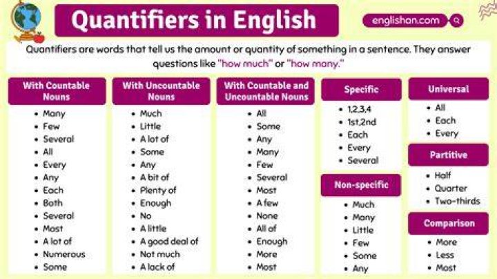 Facts About Quantifiers: Which is Better &ndash; More or Much?