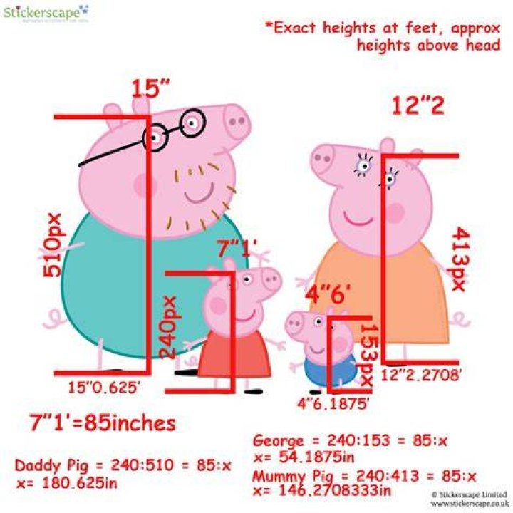 Height Of Daddy Pig From Peppa Pig