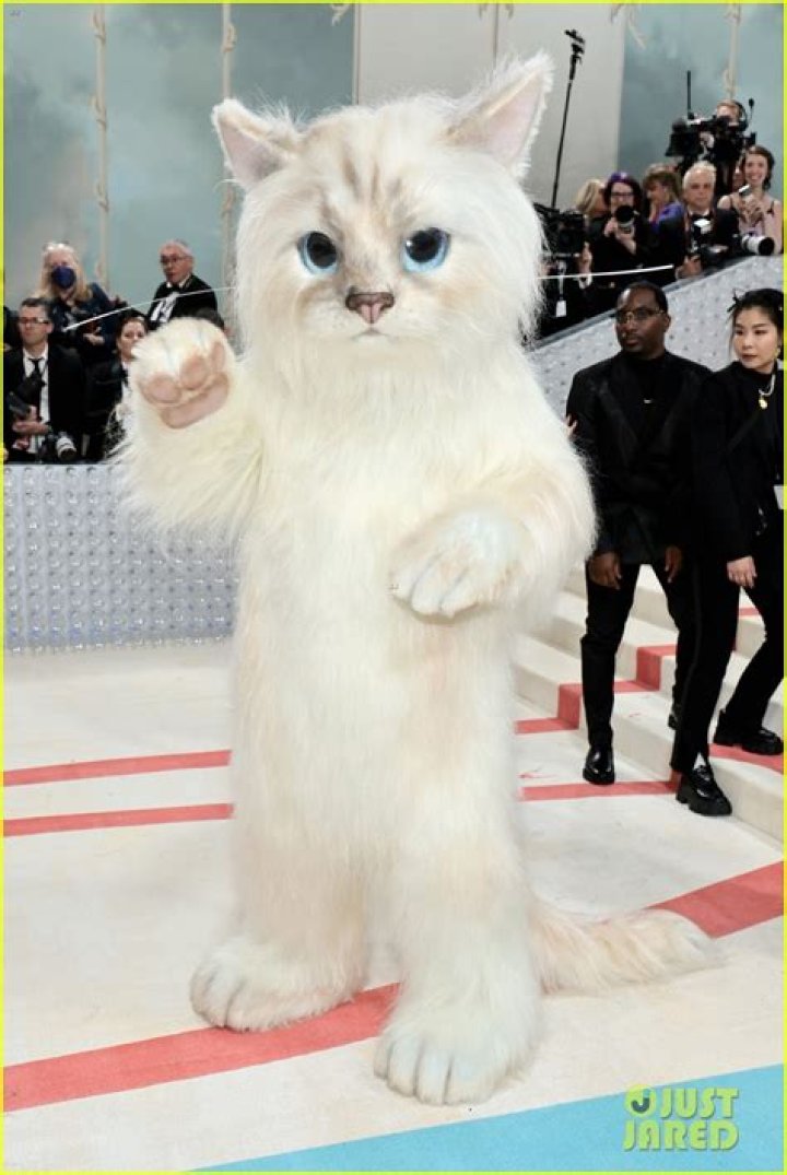 Jared Leto dressed as Choupette at the 2023 Met Gala