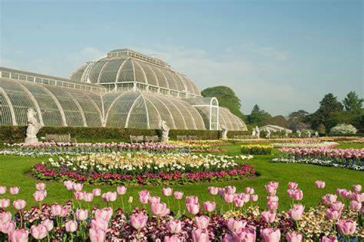 kew gardens