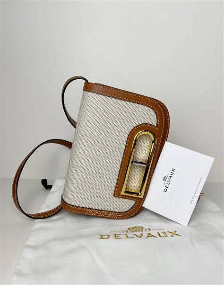Lingot canvas bag - Delvaux 
