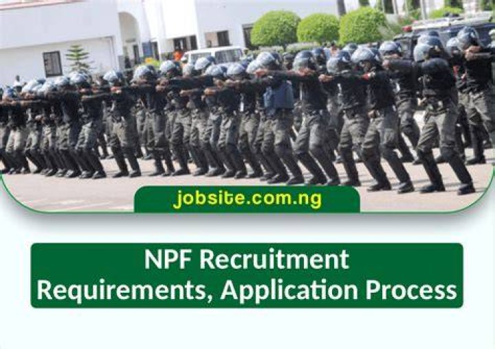  Link To Check NPF Recruitment Status 2024 Empowerment Opportunities