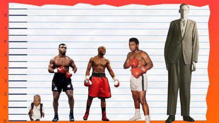 Mike Tyson Height How Tall is The 56YearOld American Former Professional Boxer? Hood MWR