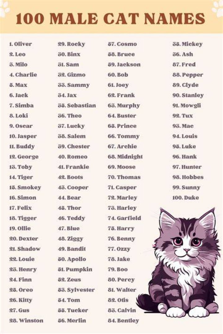 Names For Cats Male