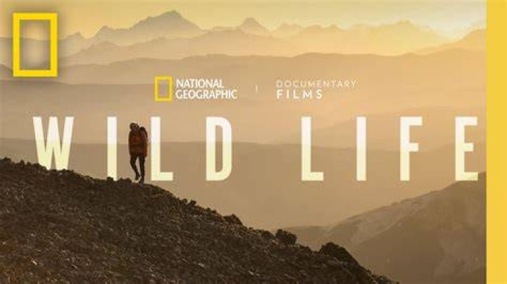 National Geographic's 'Arctic Ascent with Alex Honnold' Trailer Released Disney Plus Informer