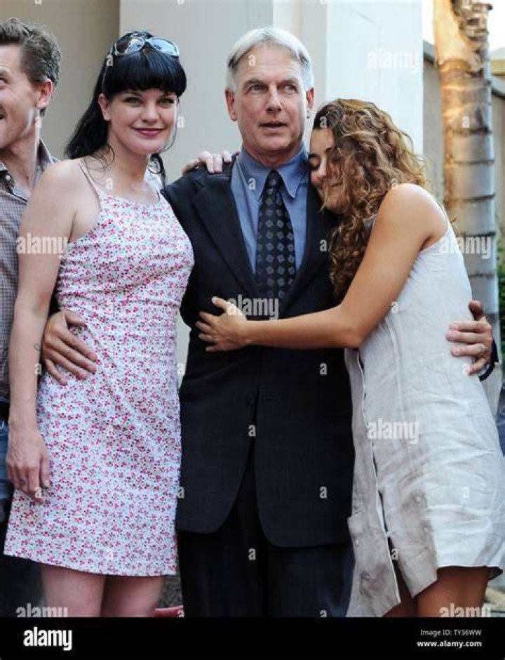ncis pauley perrette mark harmon 5