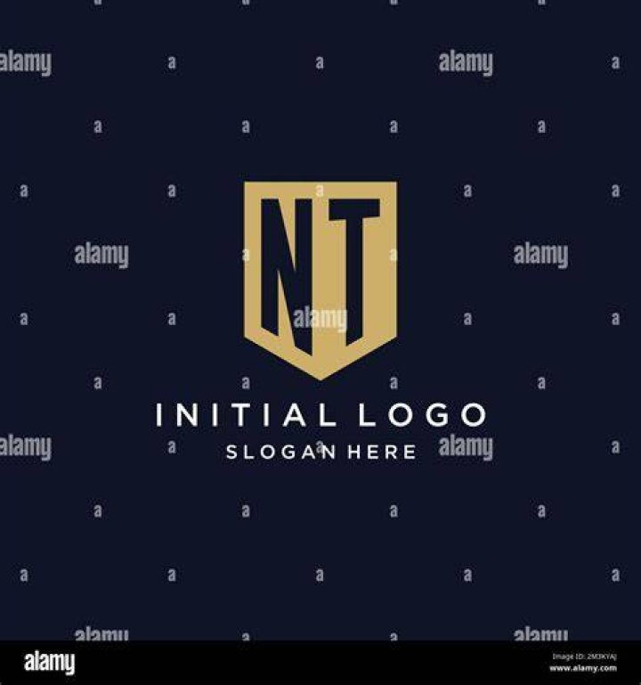 NT Monogram Logo design By Vectorseller