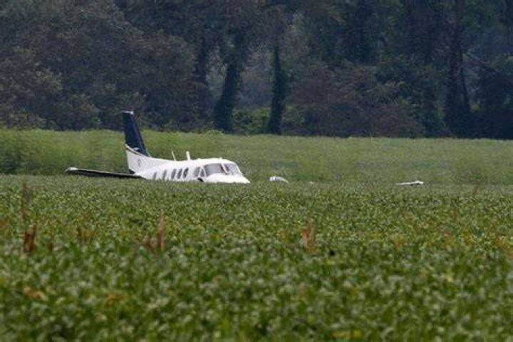 PHOTO: A stolen airplane rests in a field of soybeans after crash-landing near Ripley, Miss., Sept. 3, 2022.