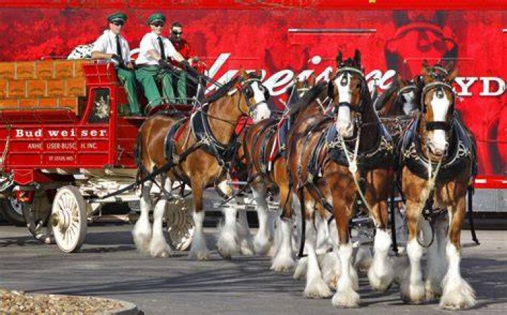 PHOTO: The Budweiser Clydesdales loop around the warning track prior to Game 5 of the 2018 World Series at Dodger Stadium, Oct. 28, 2018, in Los Angeles.