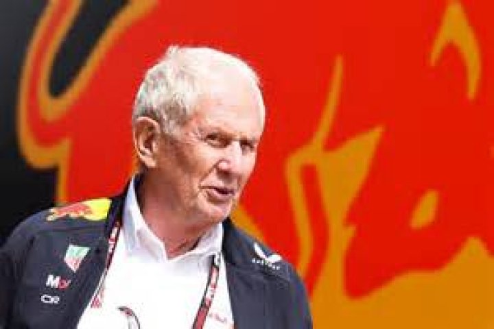 Red bull chief Helmut Marko believes the Dutchman is a 'timebomb'