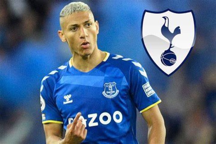 Richarlison helped keep Everton in the Premier League last season