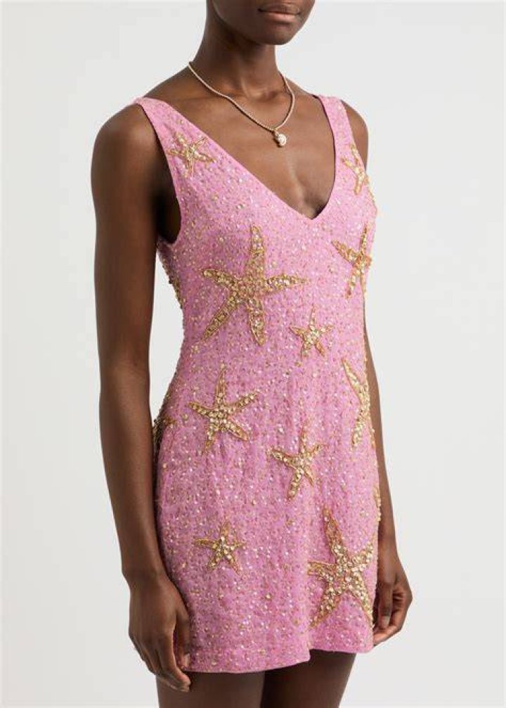 Rixo sequin dress