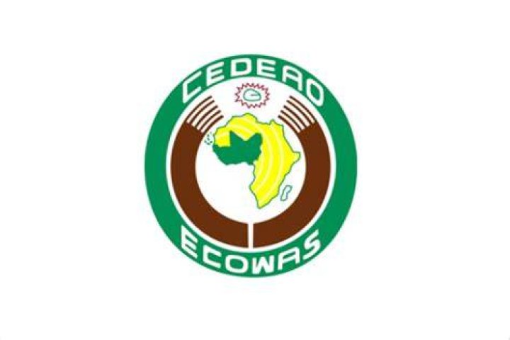 Seeking Unity in ECOWAS as Niger and Others Navigate the Sub-regional Bloc