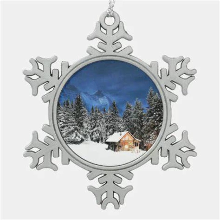 snowflake mountain cabin