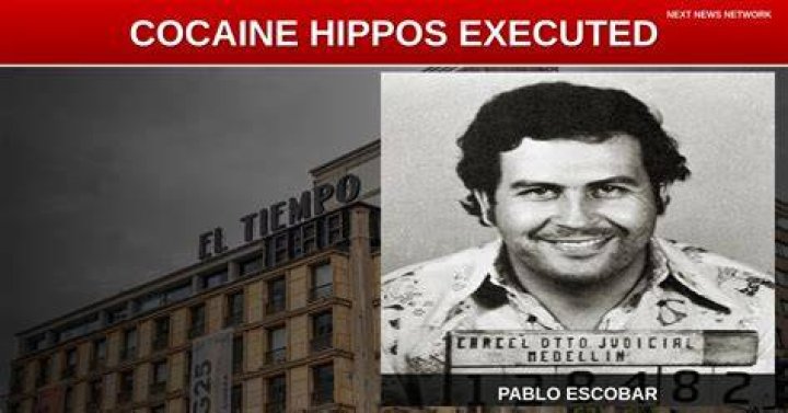 Three decades after Pablo Escobar&rsquo;s death, drugs ravage Medellin The Mail & Guardian