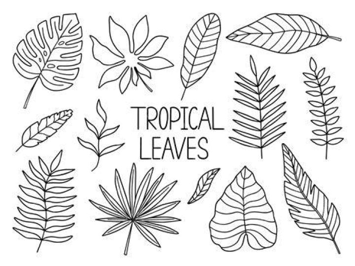tropical hand