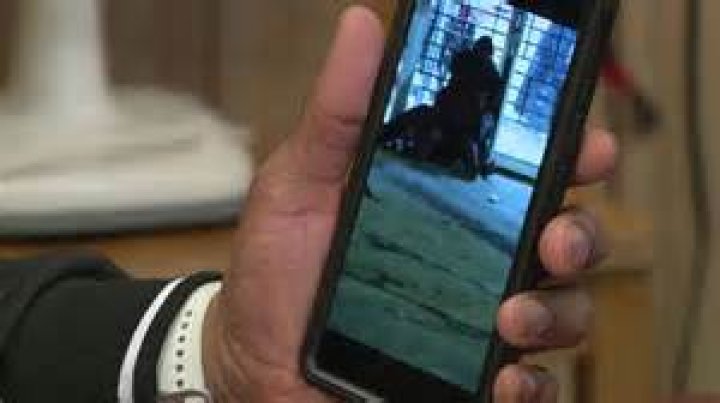 Video recorded by a witness in another vehicle helped the authorities determine that the crash involved 22-year-old Austin Cooper, in a 2016 Chevrolet Malibu with a child passenger, and Kelly, in a 2018 GMC Terrain with Albertson