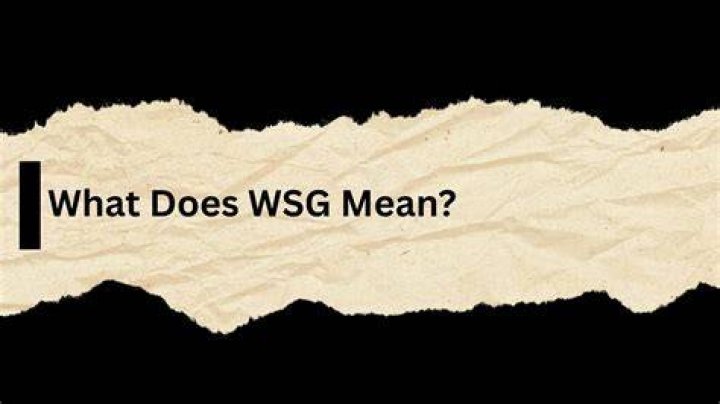 What Does WSG Mean