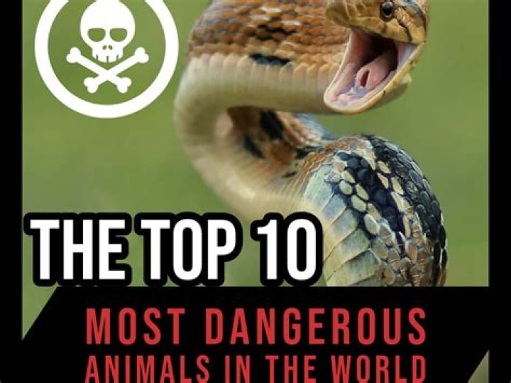 Who is the most dangerous prisoner in the world? All the details Tuko.co.ke